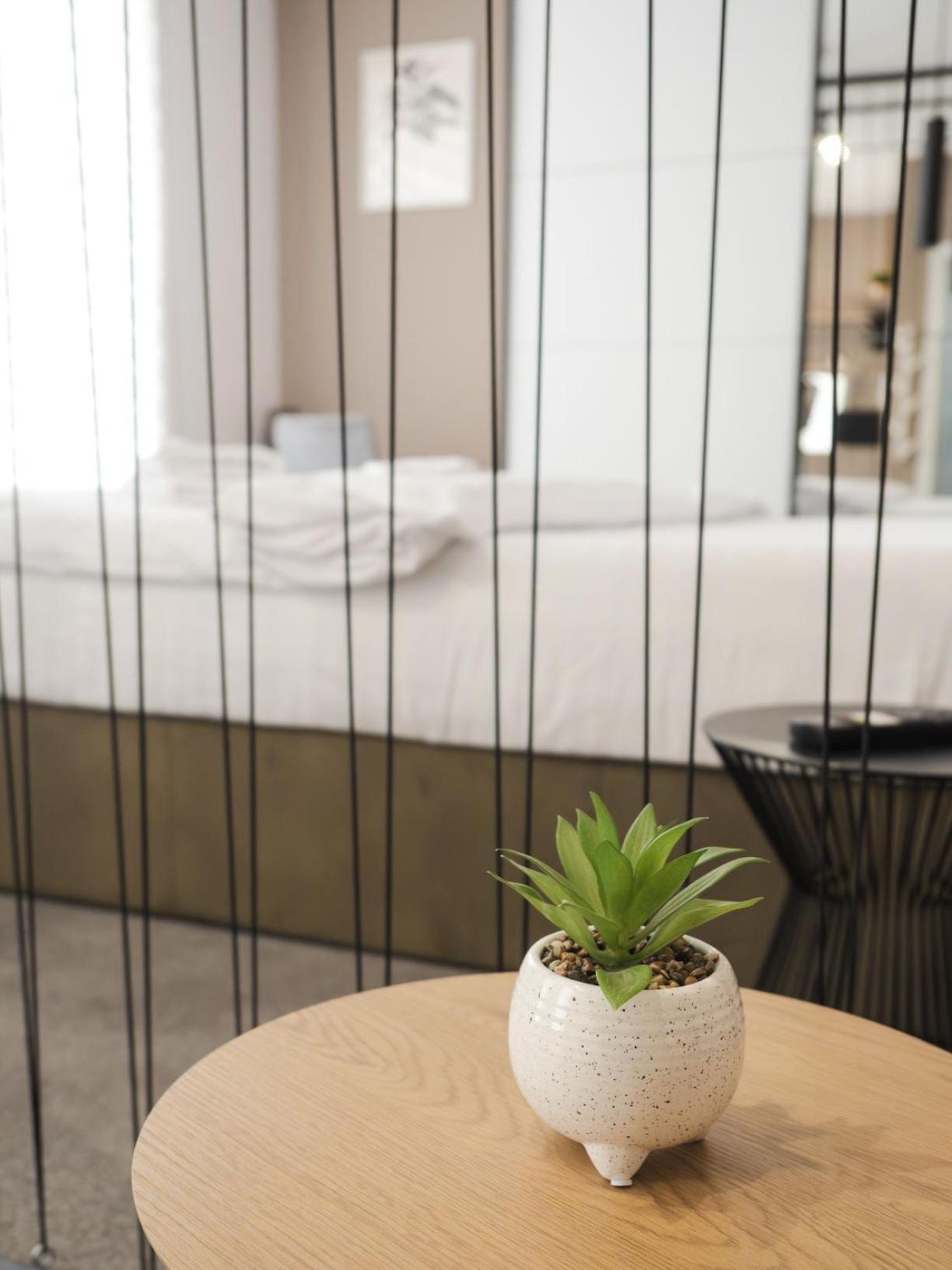 Gavas Cozy Studios Central David Prodan Cluj-Napoca Esterno foto